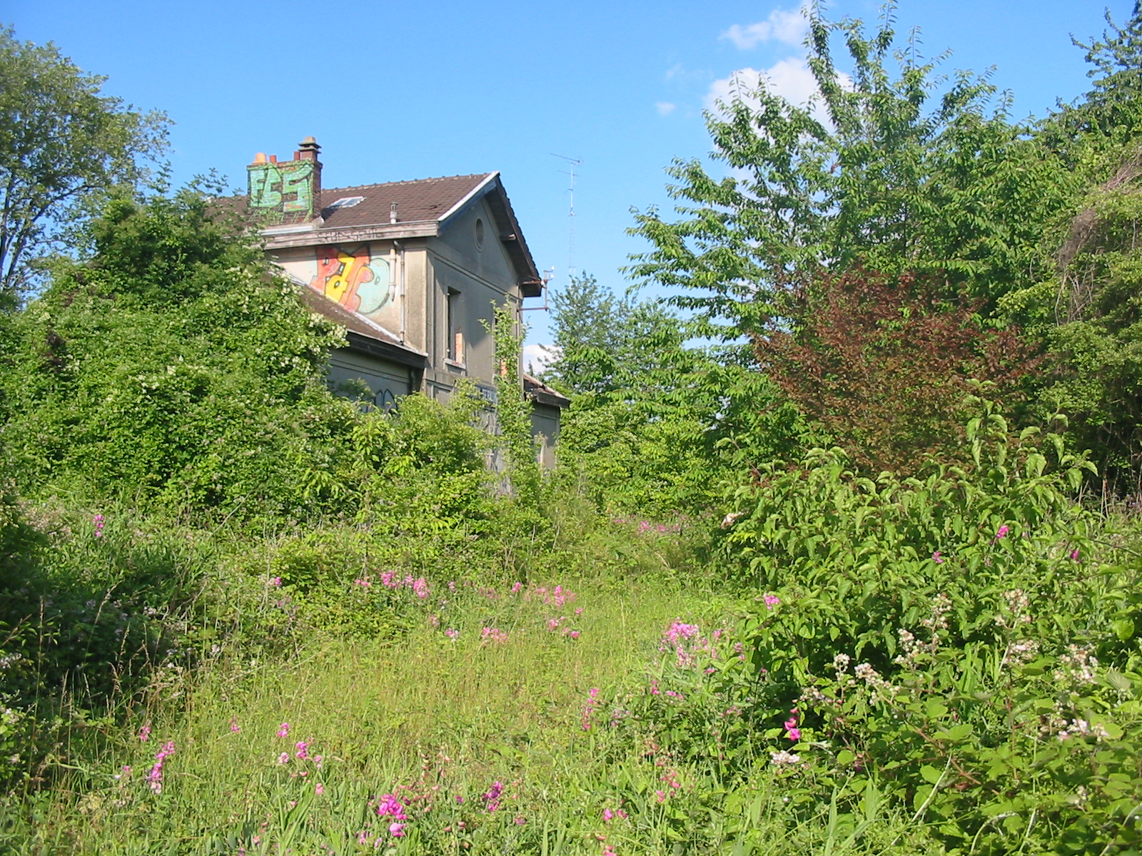 Vue de la gare de Santeny-Servon côté sud en direction de Verneuil l'Etang au 23 juin 2009