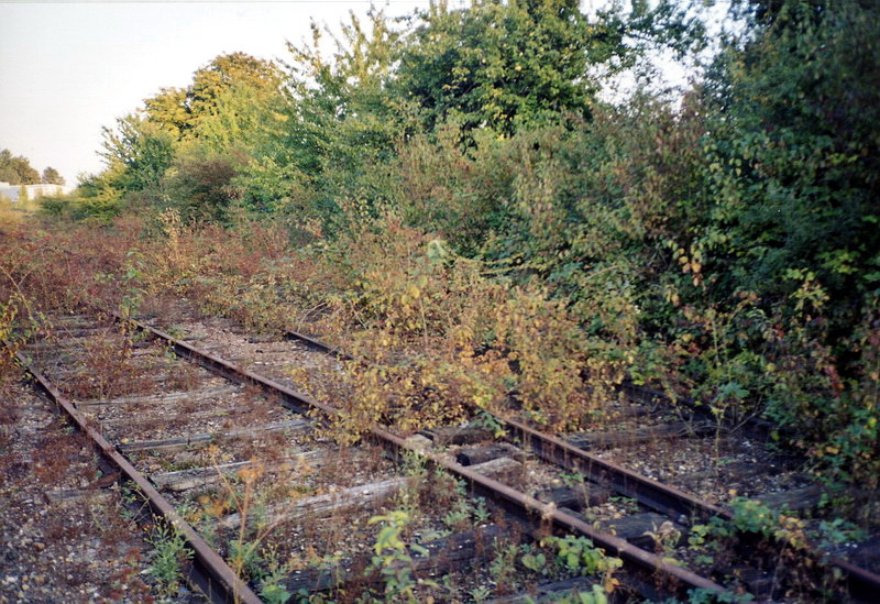Voies envahies par les herbes à Yèbles-Guignes au 18 septembre 2002